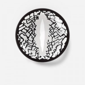 Lizard Eye Sliver